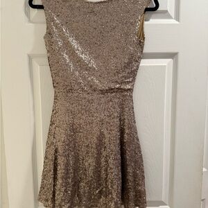 Tobi Elegant Sequin Dress
